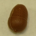 Eikel