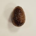 Exclusief Eitjes